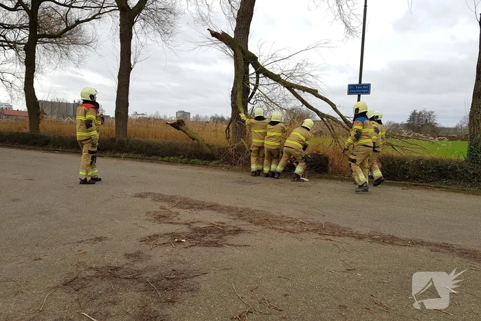 Grote takken vallen op wegdek door storm