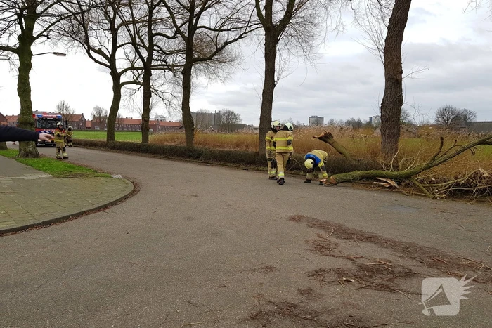 Grote takken vallen op wegdek door storm