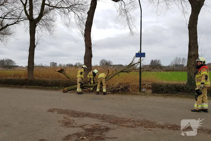 Grote takken vallen op wegdek door storm