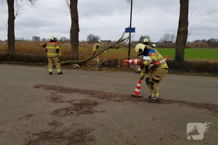 Grote takken vallen op wegdek door storm