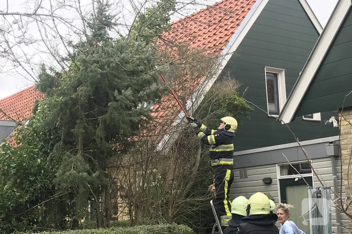 Boom drijgt op schuur te vallen