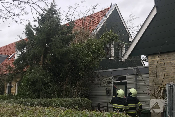 Boom drijgt op schuur te vallen