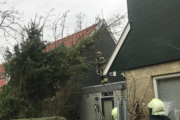 Boom drijgt op schuur te vallen