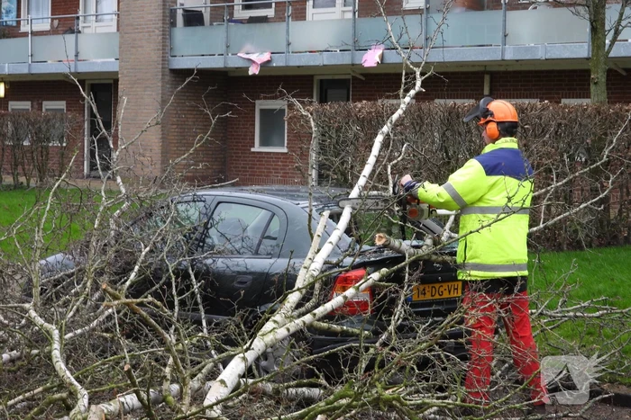 Boom valt op auto, veel schade