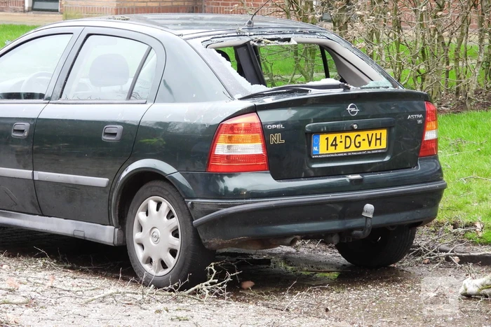 Boom valt op auto, veel schade