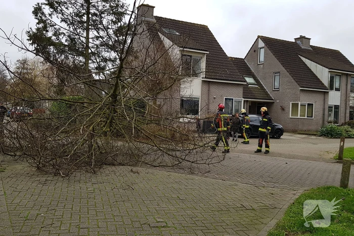 nieuws woubrechterf waddinxveen