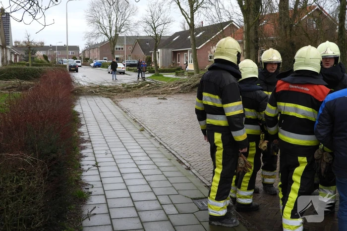 Boom breekt af en valt op woning