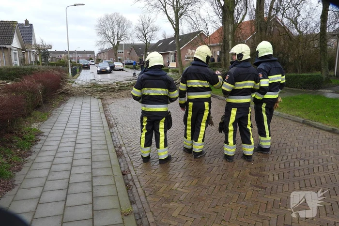 Boom breekt af en valt op woning