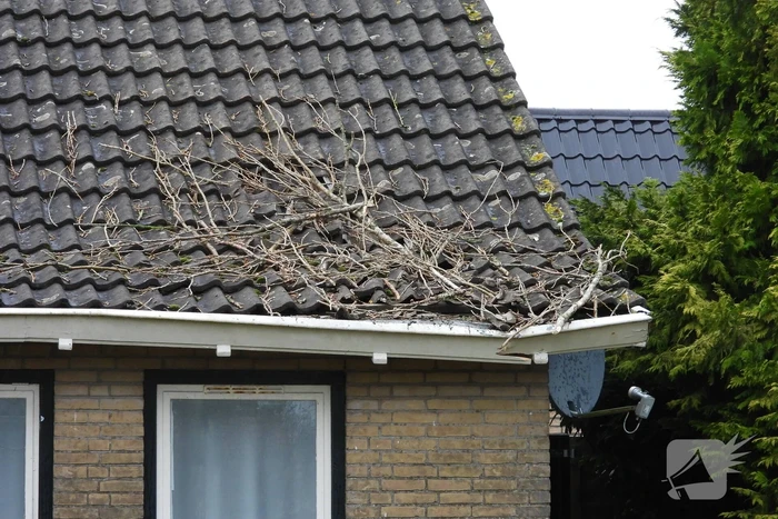Boom breekt af en valt op woning
