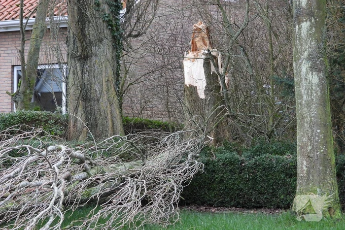 Boom breekt af en valt op woning