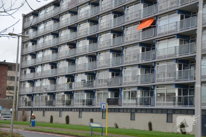 nieuws tesselschadestraat leeuwarden