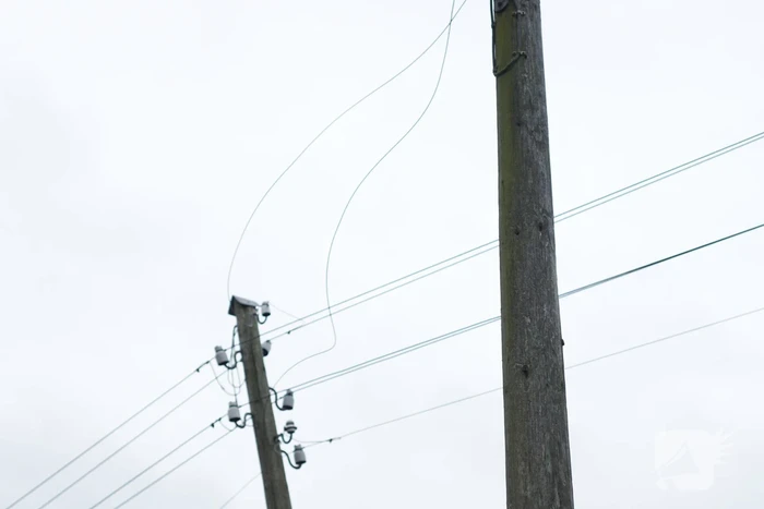 Kabels in mast beschadigd door omgevallen boom