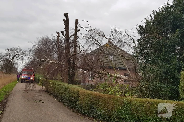 Kabels in mast beschadigd door omgevallen boom