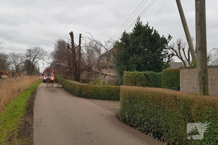 Kabels in mast beschadigd door omgevallen boom