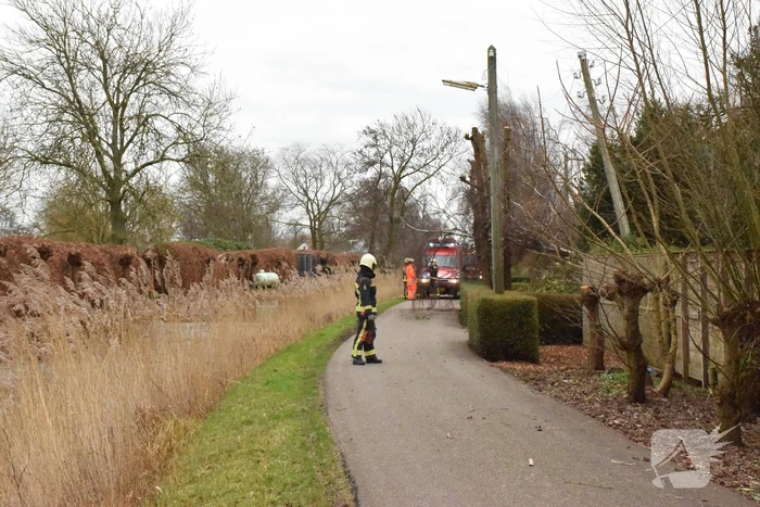 Kabels in mast beschadigd door omgevallen boom