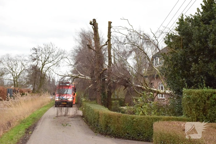 Kabels in mast beschadigd door omgevallen boom