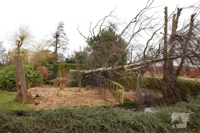 Kabels in mast beschadigd door omgevallen boom