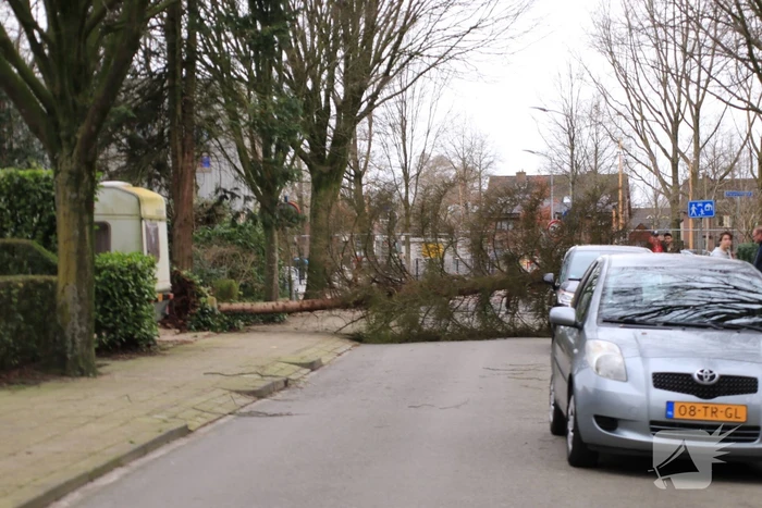 natuur leeuwerikstraat barneveld