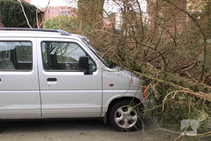 Boom valt op auto