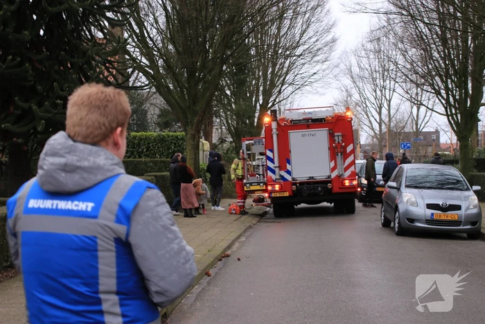 Boom valt op auto