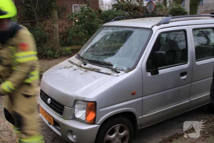 Boom valt op auto