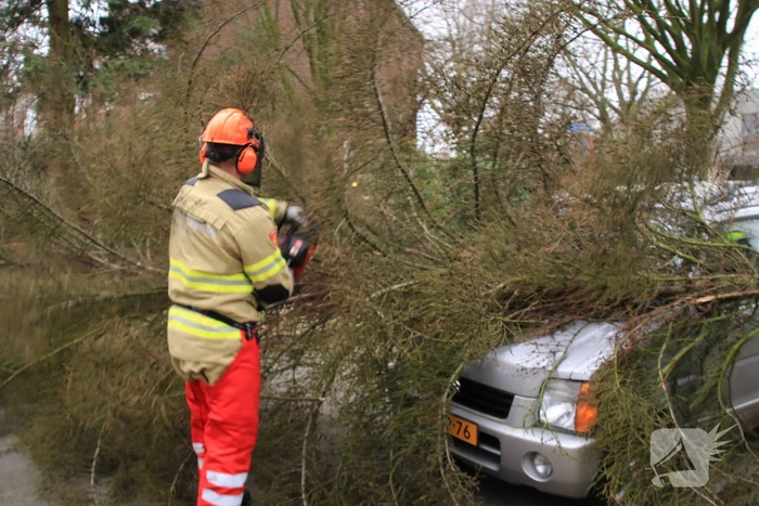 Boom valt op auto