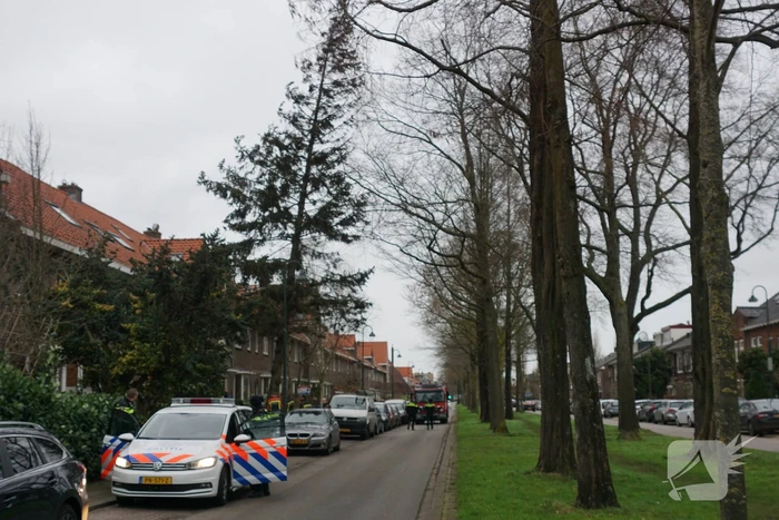 Boom dreigt om tevallen, bewoners halen auto's weg