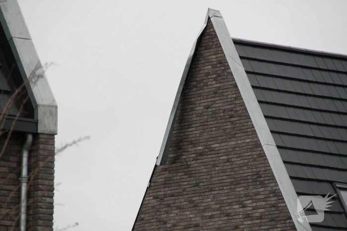 nieuws bosbes nijkerk