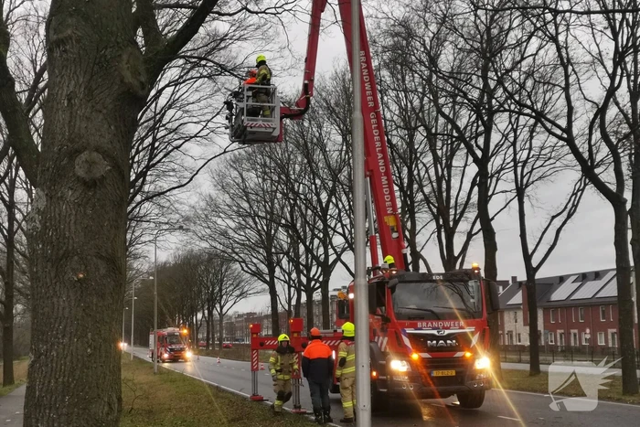 nieuws n224 ede