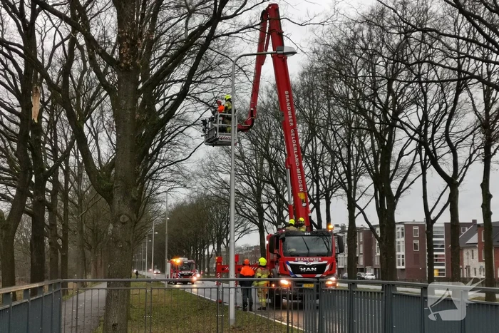 Boom top staat op vallen