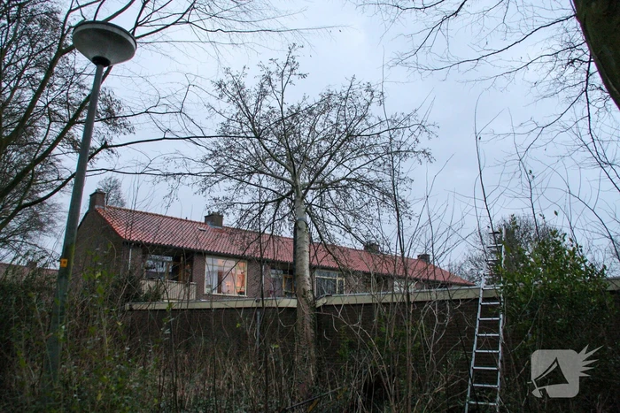 nieuws schulpkamp nijkerk