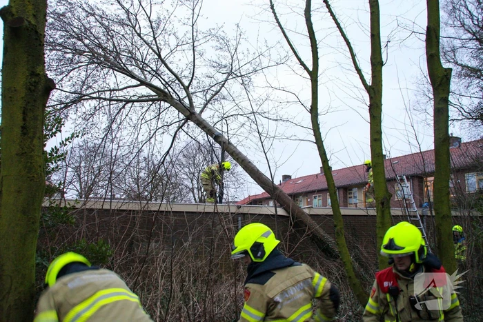 Boom valt tegen schuur