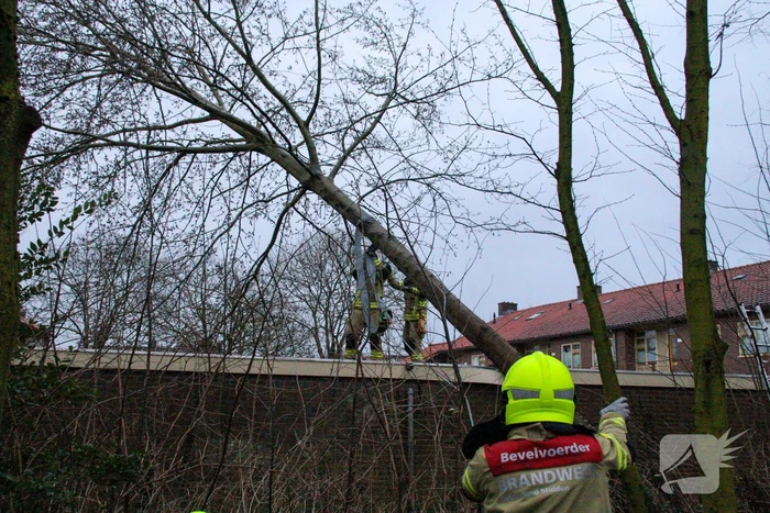 Boom valt tegen schuur