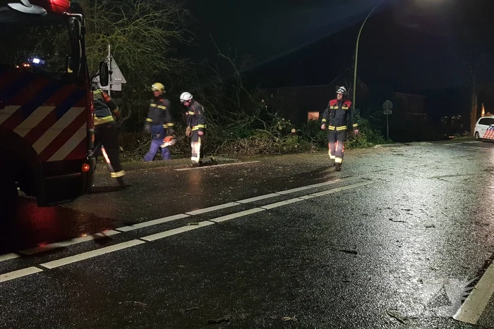 boom valt omver en blokkeert fietspad