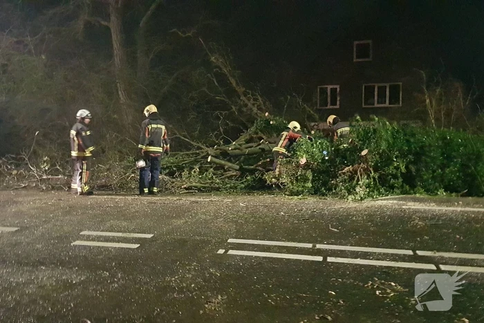 boom valt omver en blokkeert fietspad