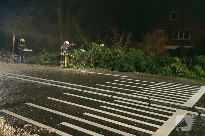 boom valt omver en blokkeert fietspad