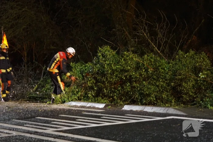 boom valt omver en blokkeert fietspad
