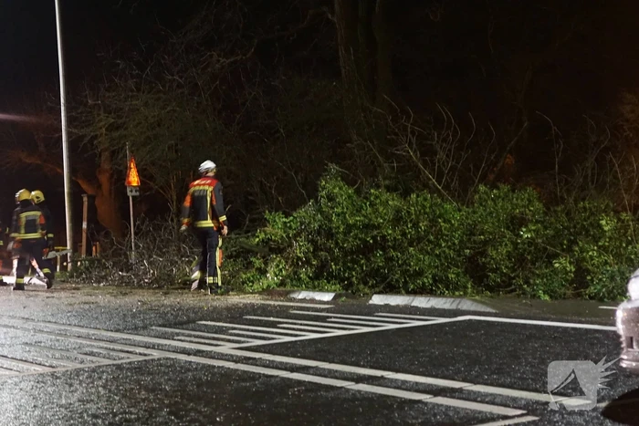 boom valt omver en blokkeert fietspad