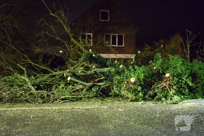 boom valt omver en blokkeert fietspad