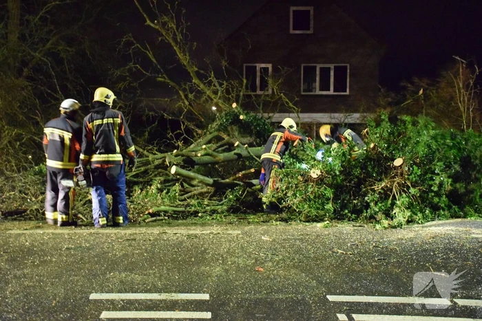 boom valt omver en blokkeert fietspad