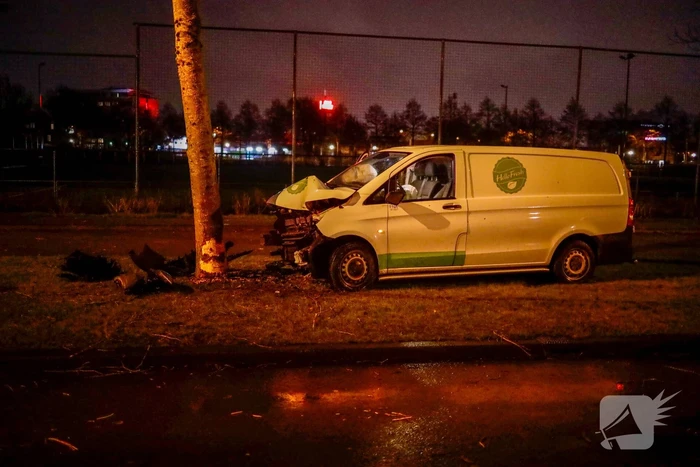 Bestelbus botst frontaal op boom