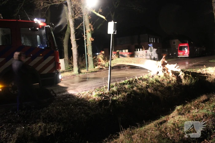 nieuws oude molenheide schijndel