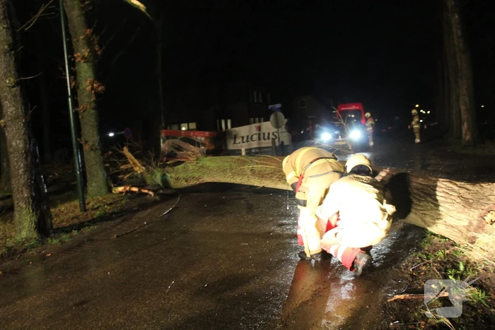 Brandweer verwijderd omgevallen boom