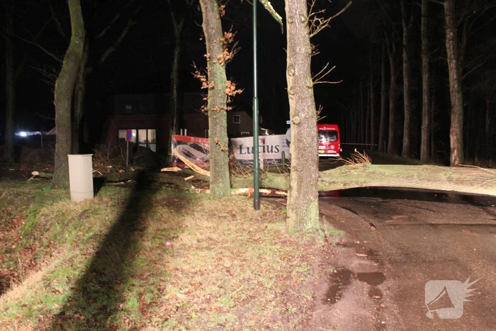 Brandweer verwijderd omgevallen boom