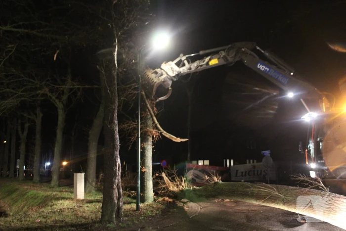 Brandweer verwijderd omgevallen boom