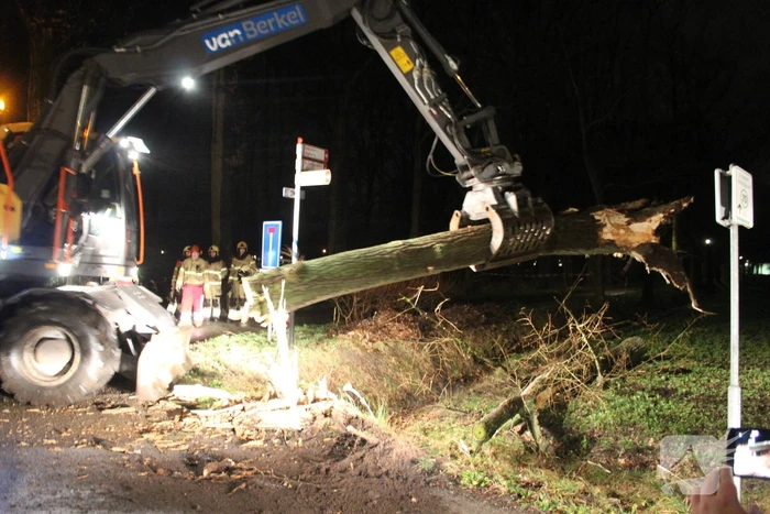 Brandweer verwijderd omgevallen boom