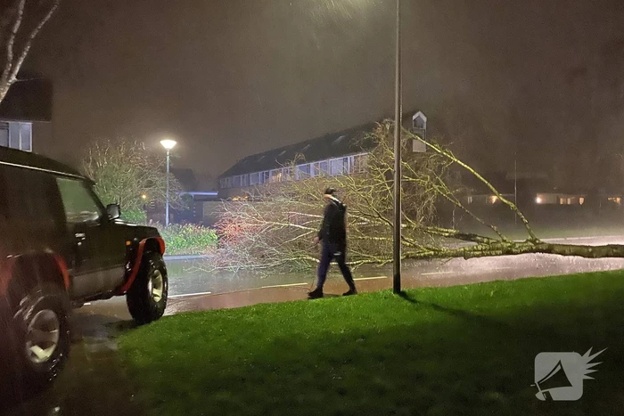 Boom met auto van de weg getrokken