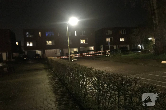 nieuws de gealanden leeuwarden