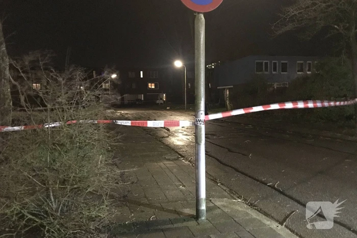 Boom staat op vallen, brandweer zet straat af