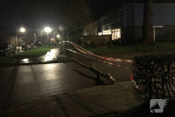 Boom staat op vallen, brandweer zet straat af